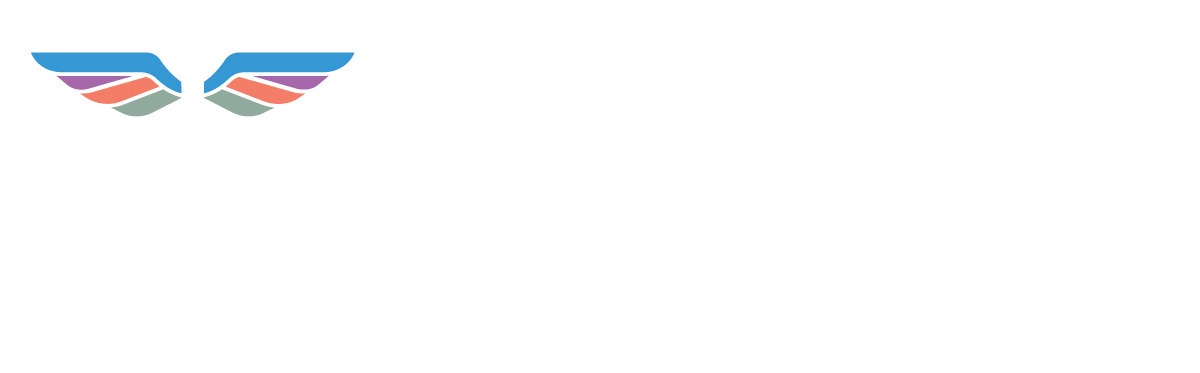 BRAINATION Health logo white