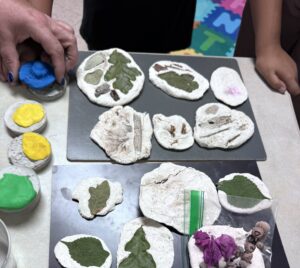 Student science project